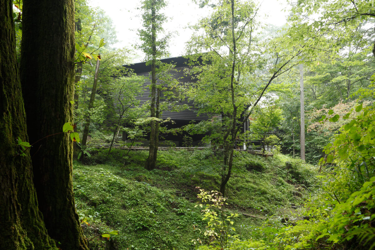 photo:Mikasa Cottage